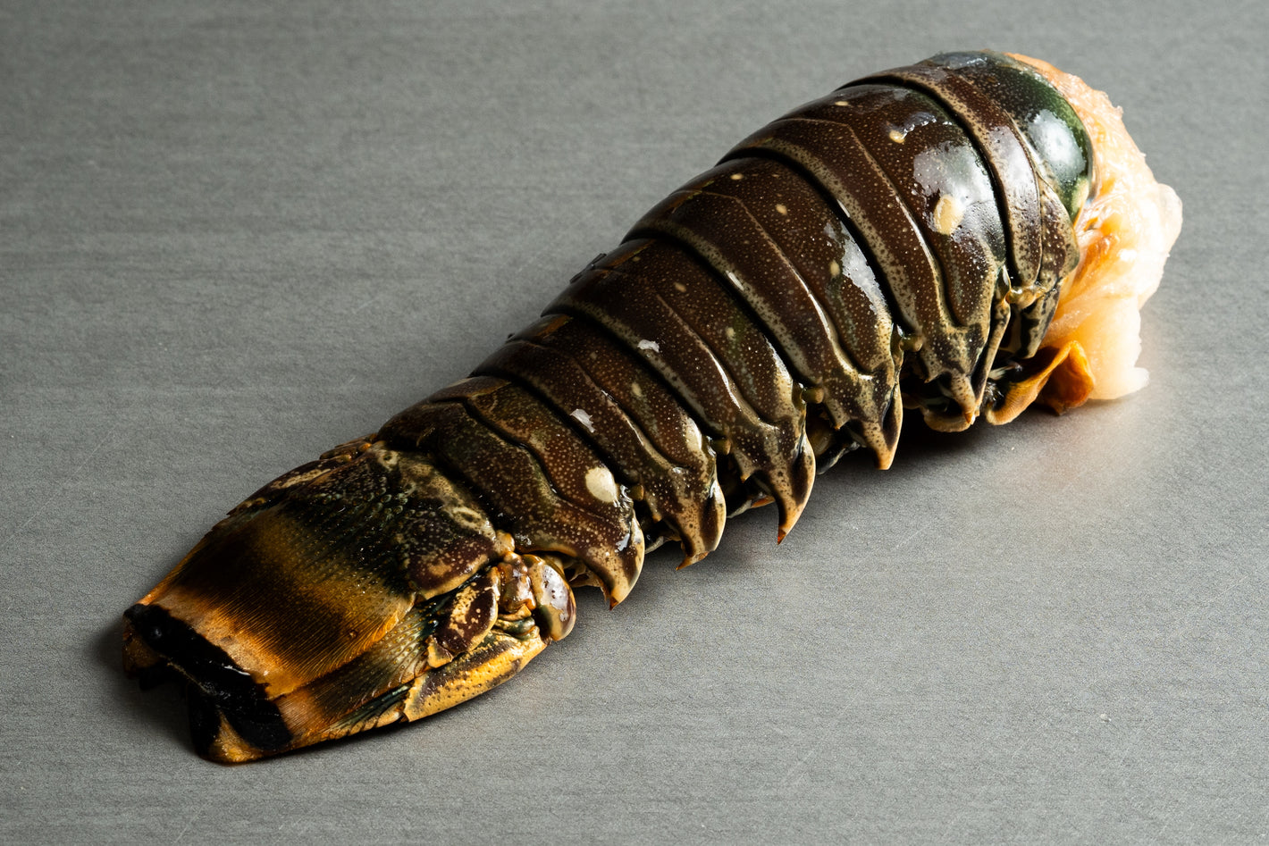 Atlantischer Langustenschwanz aus Wildfang ca. 450g / Stück