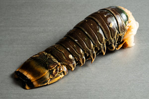 Atlantischer Langustenschwanz aus Wildfang ca. 450g / Stück
