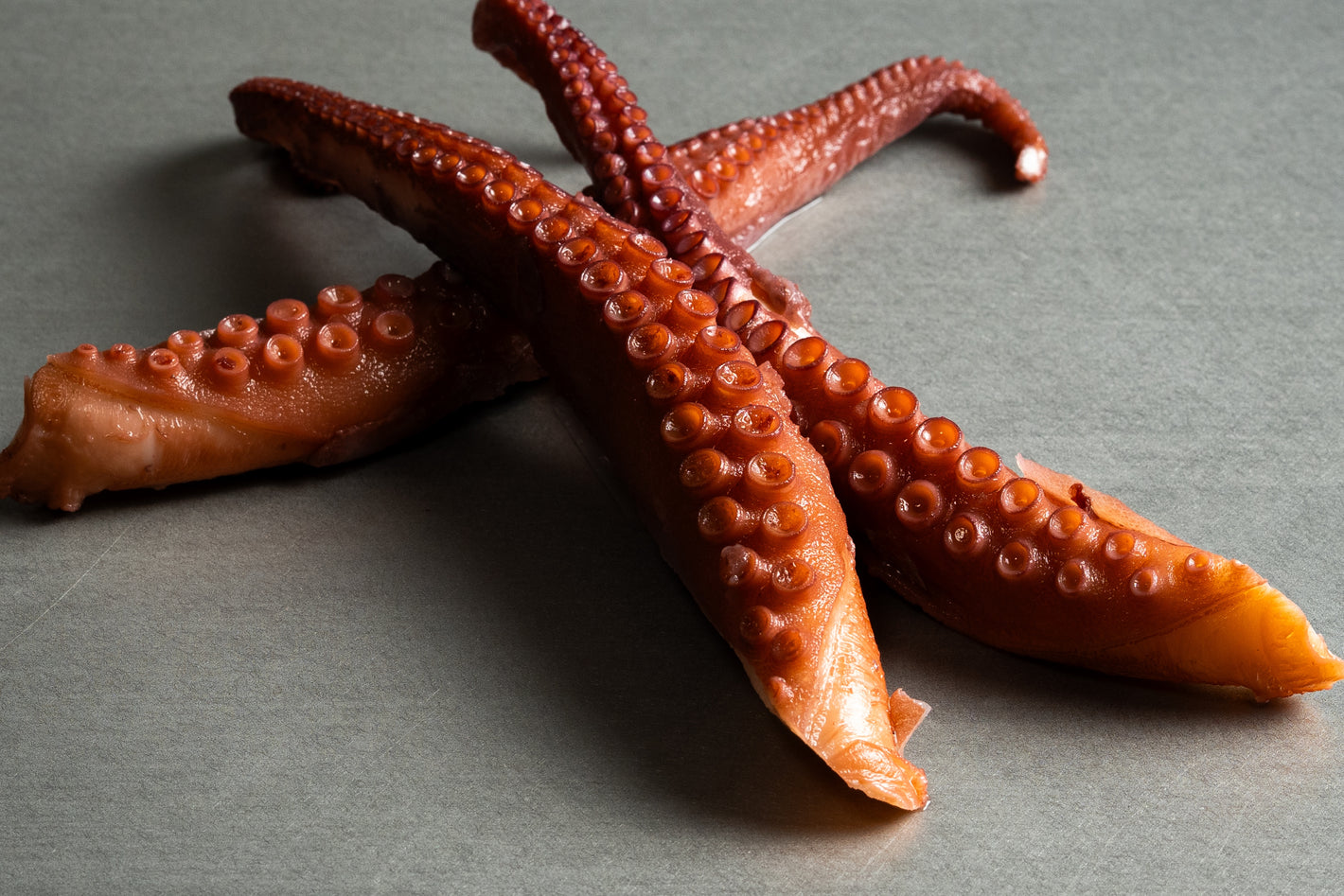 Pulpoarme XL Küchenfertig vorbereitet