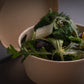 Salat klein